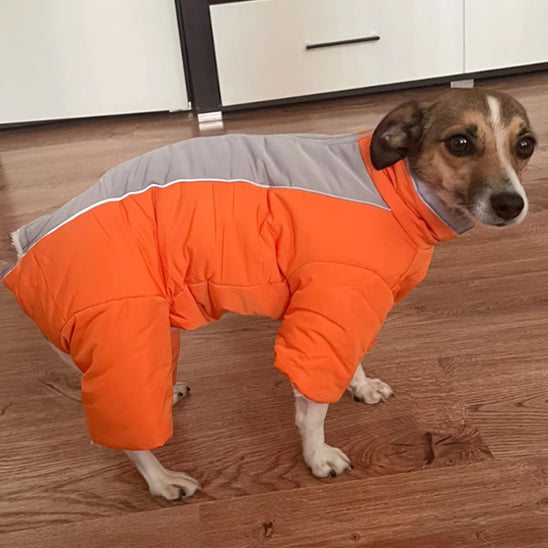 manteau chien imperconfort cuisine