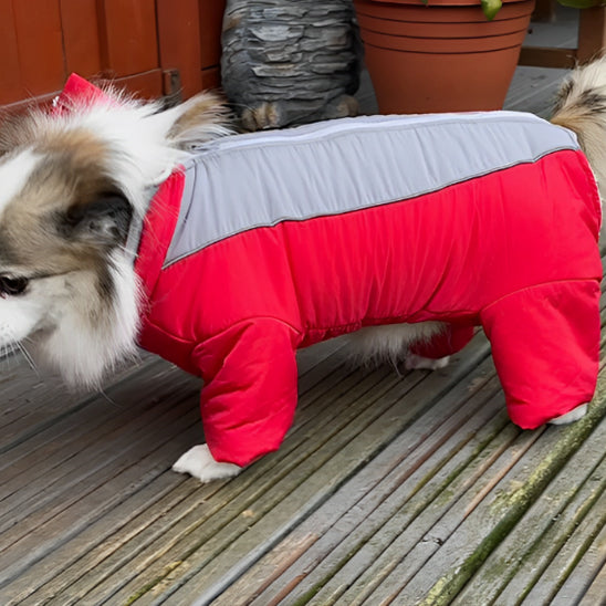 manteau chien imperconfort maison
