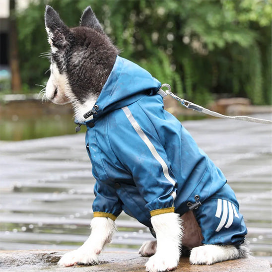 manteau pour chien assis