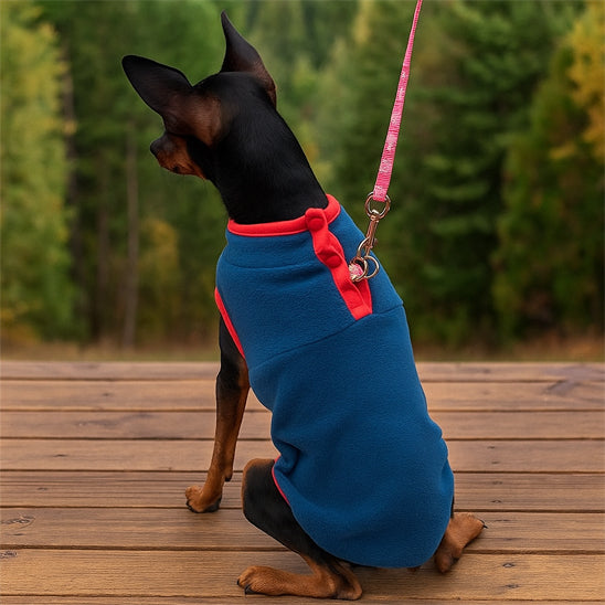 manteau pour chien hevernal balcon