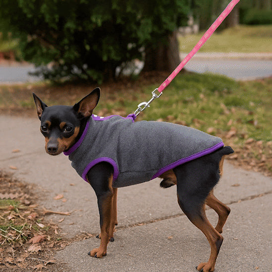 manteau pour chien hevernal route