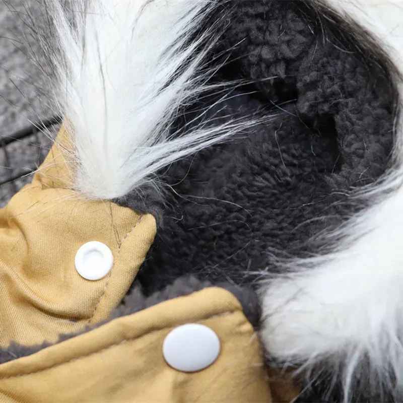 manteau pour chien impermeable capuche
