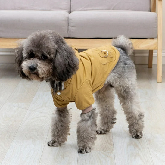 manteau pour chien impermeable salon
