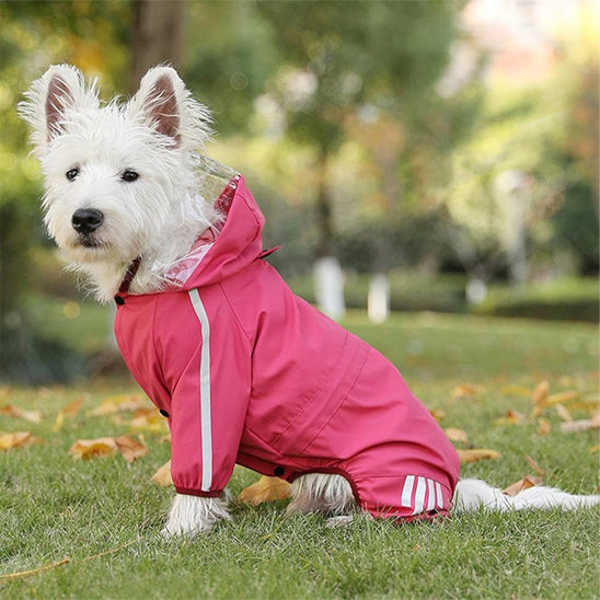 manteau pour chien pelous