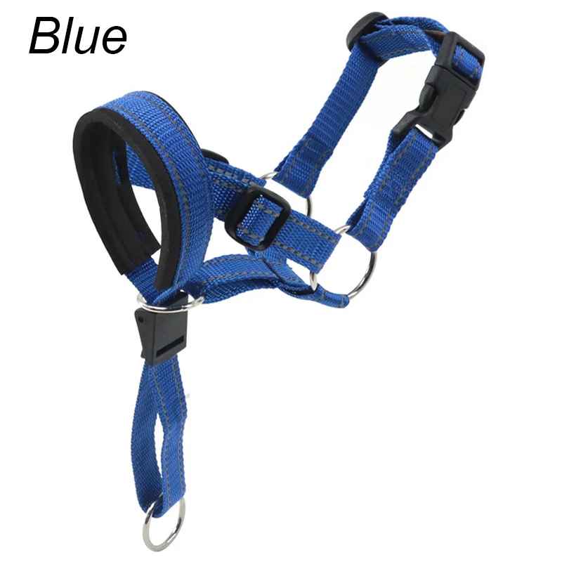 museliere chien confortsafe debout bleu