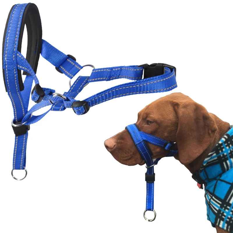 museliere chien confortsafe debout mode