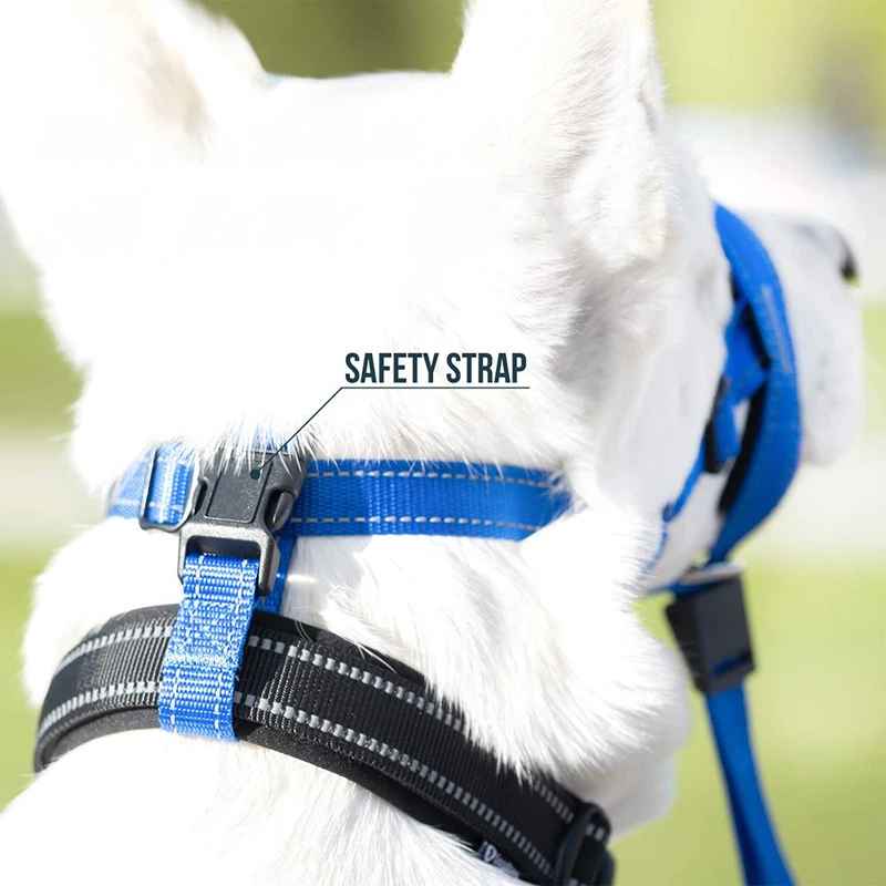 museliere chien confortsafe debout modes