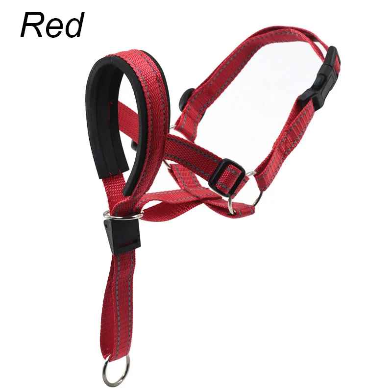 museliere chien confortsafe debout rouge