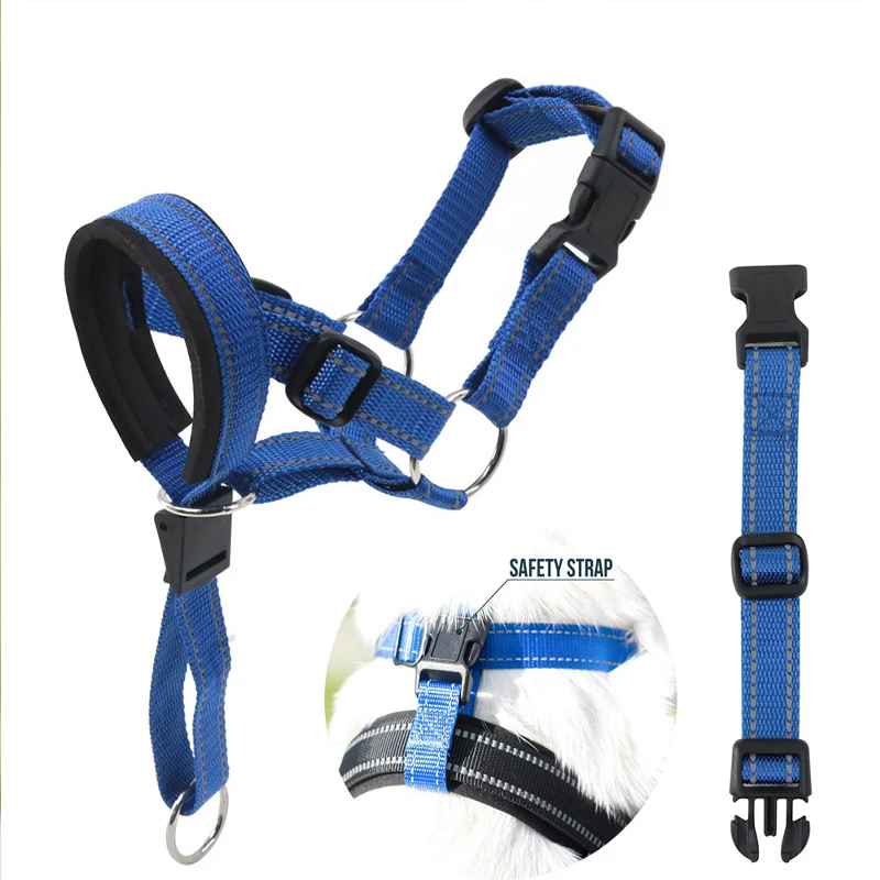 museliere chien confortsafe debout technique