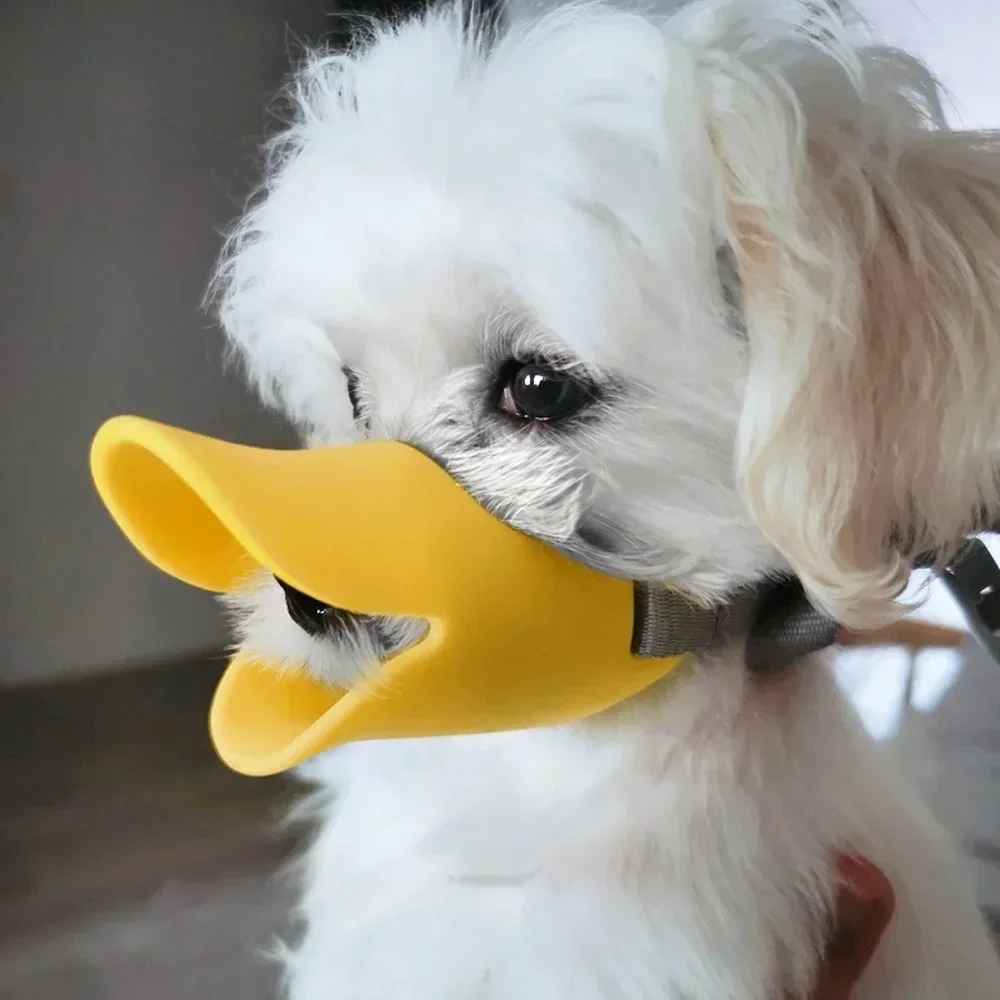 museliere chien secure confort chien blanc