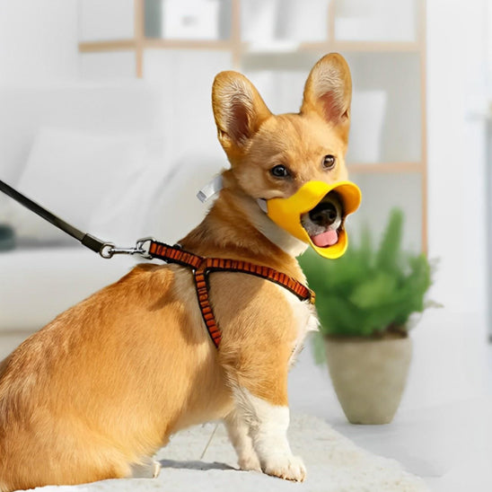 museliere chien secure confort pose
