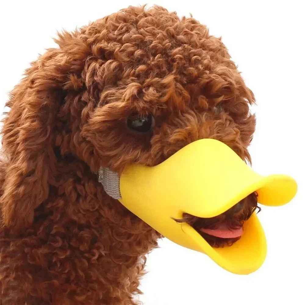museliere chien secure confort tete