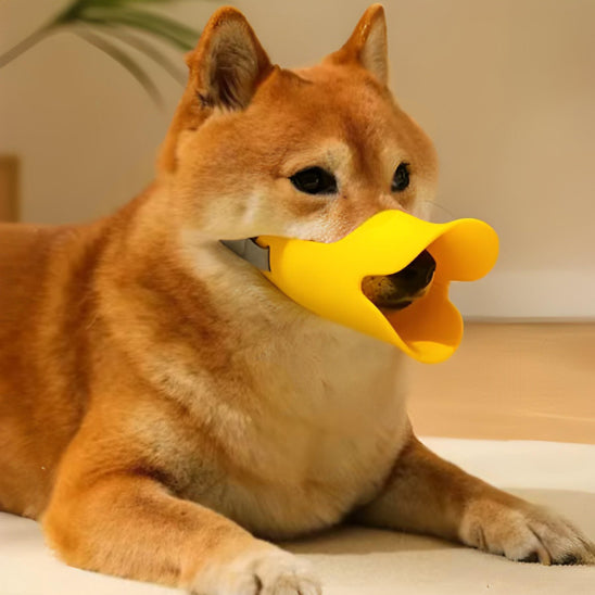museliere chien secure confort