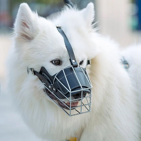 museliere pour chien comfort blanc photo