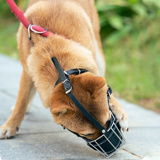 museliere pour chien comfort joue