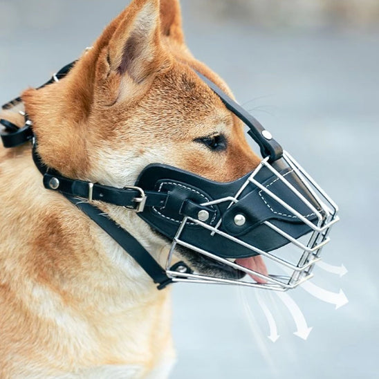 museliere pour chien comfort route