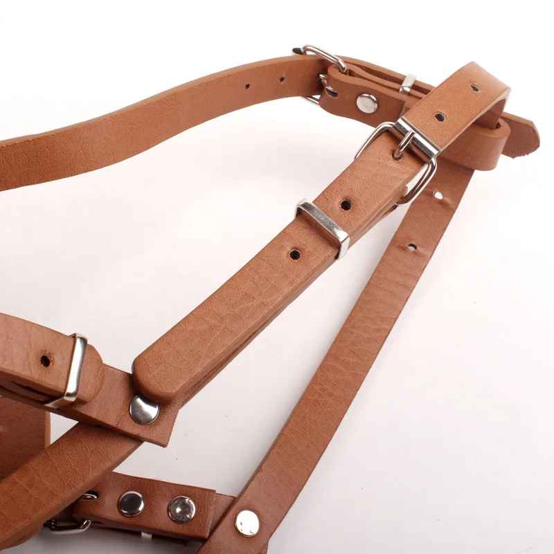 museliere pour chien comfort technique
