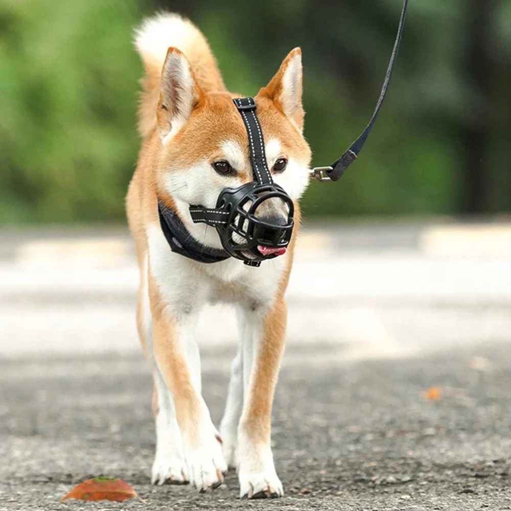 museliere pour chien securemuzzle route