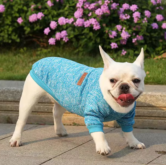 pull chien cozypet ballade bleu