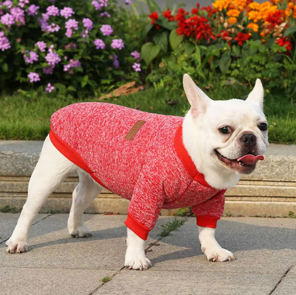 pull chien cozypet ballade