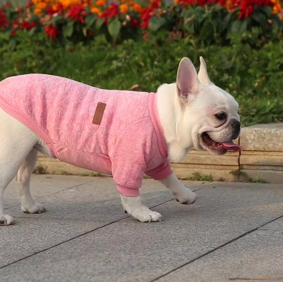 pull chien cozypet jardin