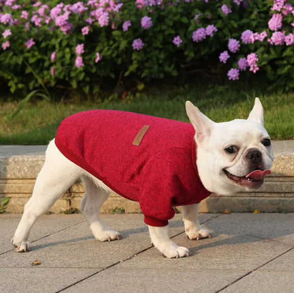 pull chien cozypet