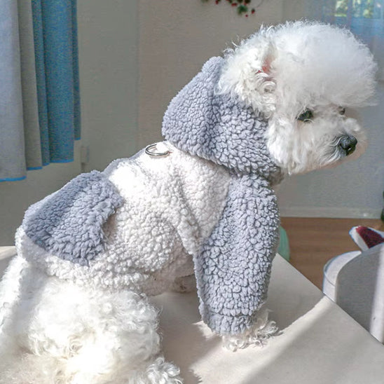 pull pour chien cozywinter maison bleu