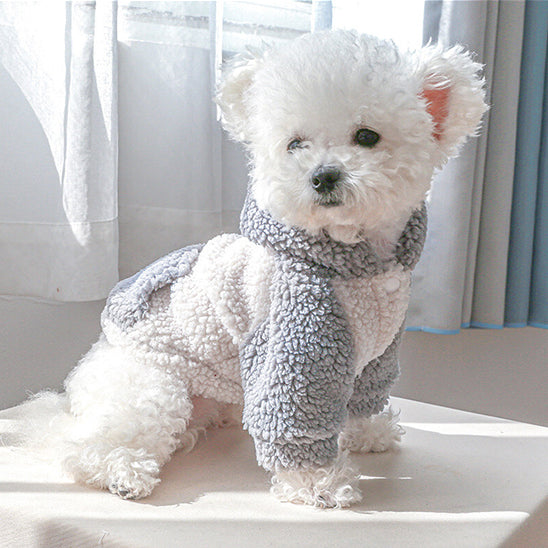 pull pour chien cozywinter maison