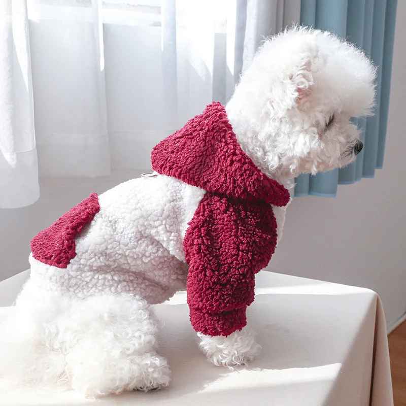 pull pour chien cozywinter table rouge