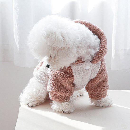 pull pour chien cozywinter table