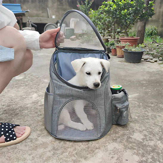 sac a dos chien adventurepaws cour