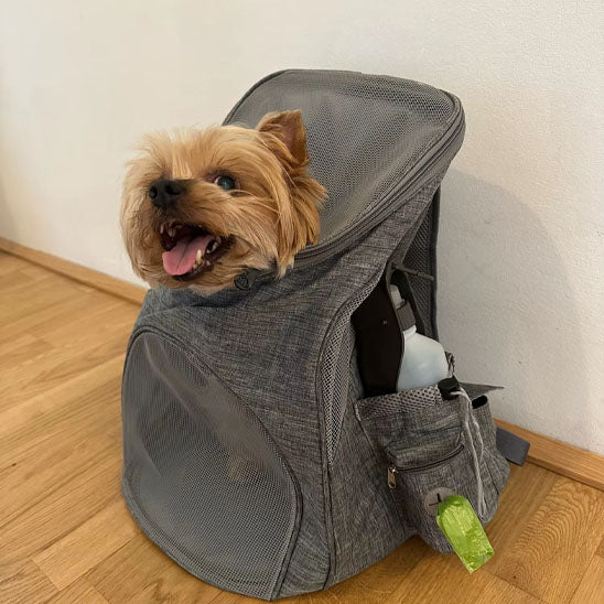 sac a dos chien adventurepaws maison