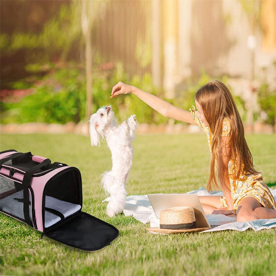 sac de transport de chien elegant pelouse