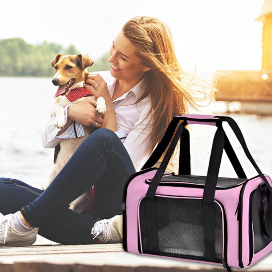 sac de transport de chien elegant quai