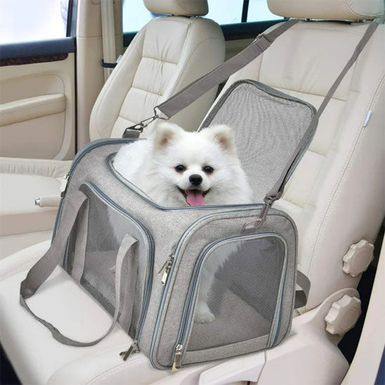 sac de transport de chien elegant voiture