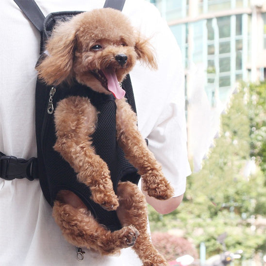 sac de transport pour chien comfortpremium dos photos