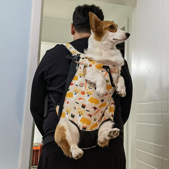 sac de transport pour chien comfortpremium dos