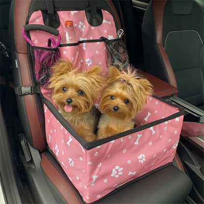 siege auto chien securtravel voiture