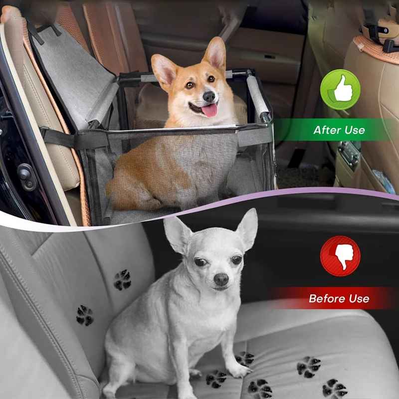 siege auto pour chien apres