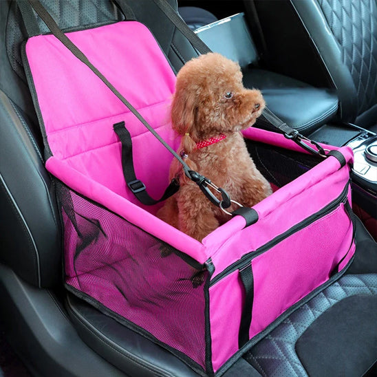 siege auto pour chien debout