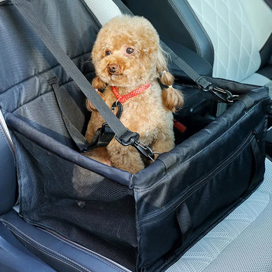 siege auto pour chien dormir