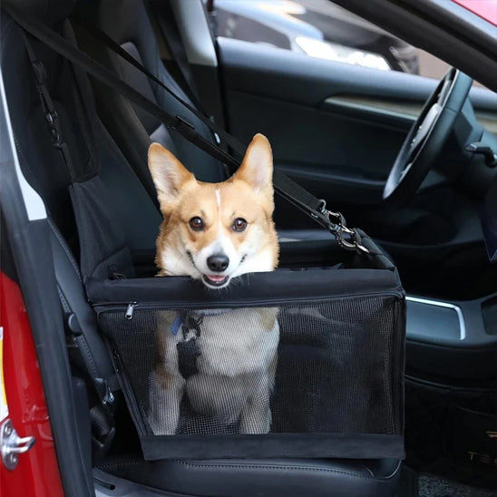 siege auto pour chien voyage