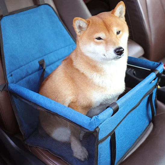 siege auto pour chien