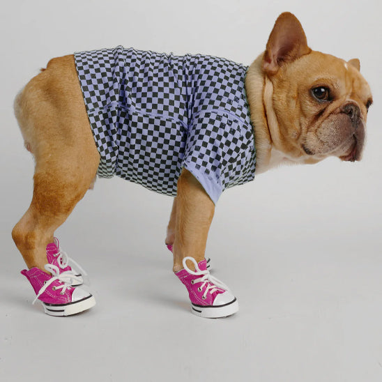 Chaussure Chien ImperFlex deout