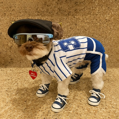 Chaussure Chien ImperFlex pirate