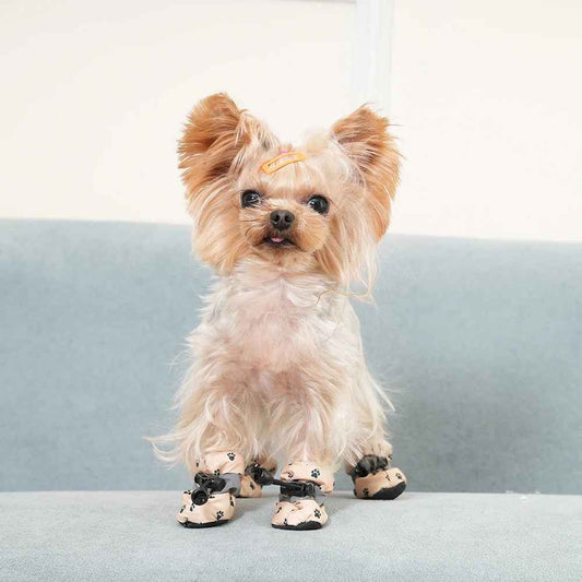 Chaussures pour Chien pawshield expose