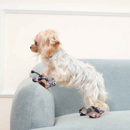 Chaussures pour Chien pawshield sur salon
