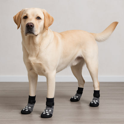 chaussette pour chien pattesprotect maison