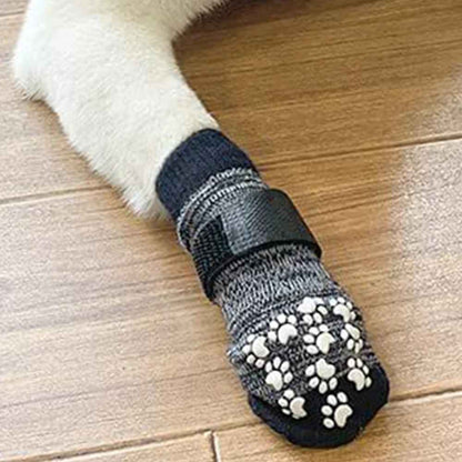 chaussette pour chien pattesprotect patte