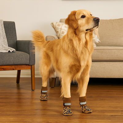 chaussette pour chien pattprotect maison
